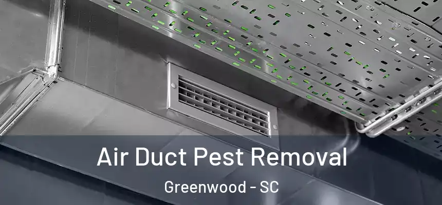  Air Duct Pest Removal Greenwood - SC