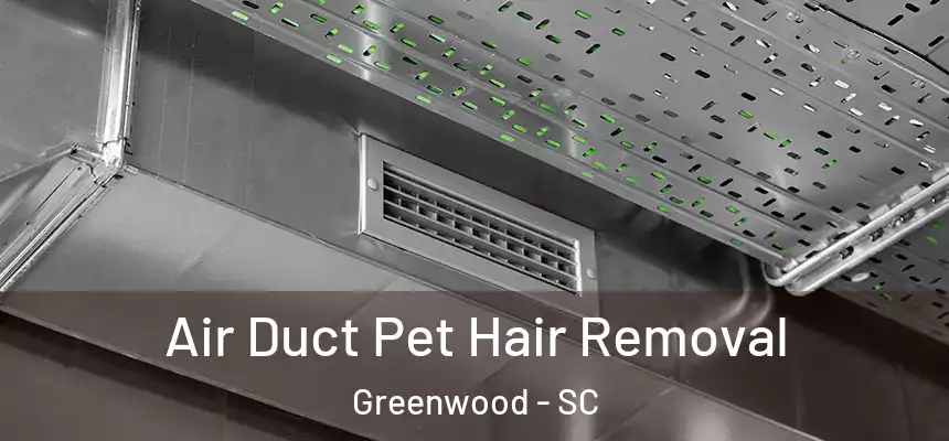  Air Duct Pet Hair Removal Greenwood - SC