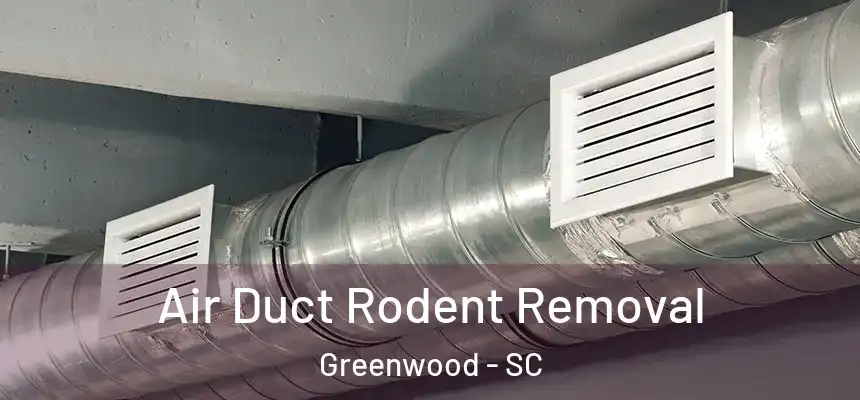  Air Duct Rodent Removal Greenwood - SC