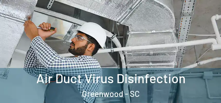  Air Duct Virus Disinfection Greenwood - SC