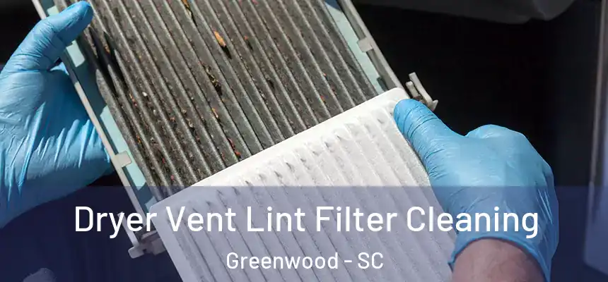  Dryer Vent Lint Filter Cleaning Greenwood - SC