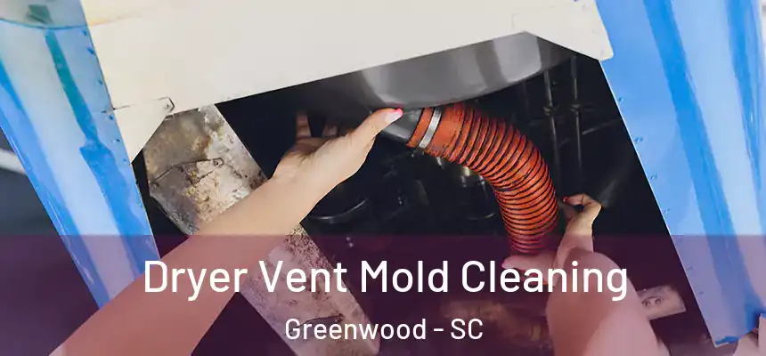 Dryer Vent Mold Cleaning Greenwood - SC