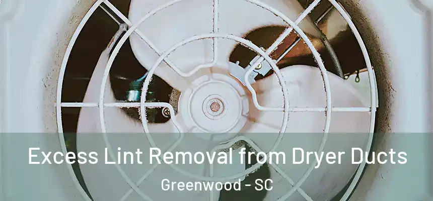  Excess Lint Removal from Dryer Ducts Greenwood - SC
