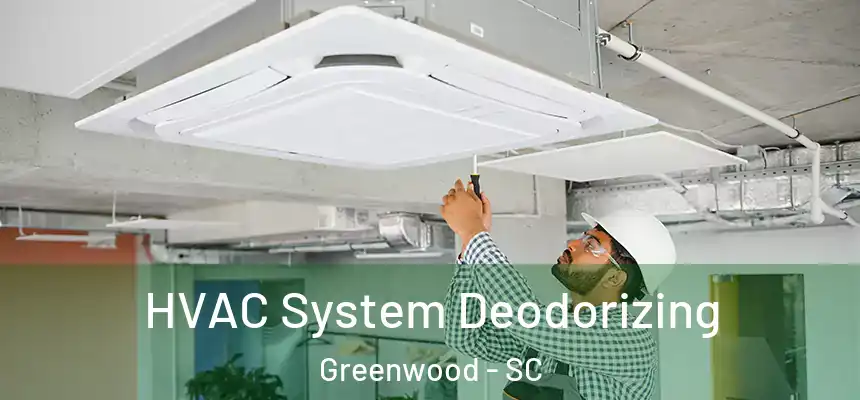  HVAC System Deodorizing Greenwood - SC