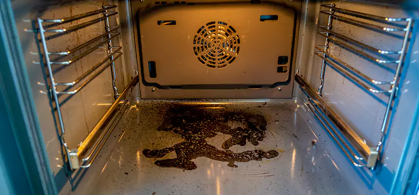 Our Dryer Vent Mold Cleaning Services in Greenwood, SC