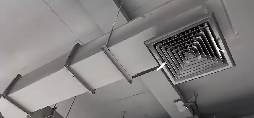 Our Pest Removal From Ducts Services in Greenwood, SC