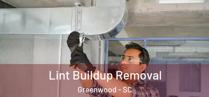  Lint Buildup Removal Greenwood - SC