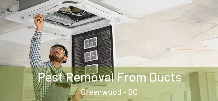  Pest Removal From Ducts Greenwood - SC
