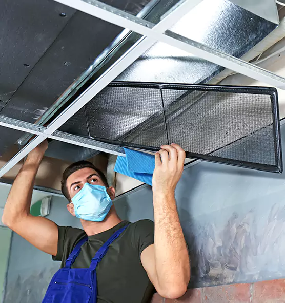 About Air Duct Bacteria Removal in Greenwood