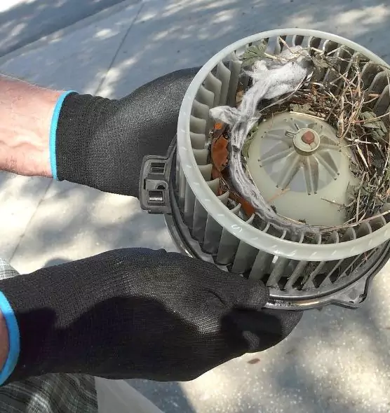 About Air Duct Mice Removal in Greenwood, SC