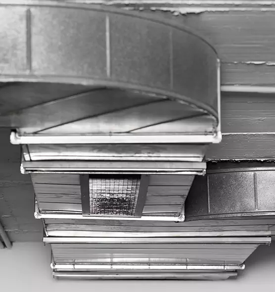 Professional Air Duct Pest Removal in Greenwood, SC