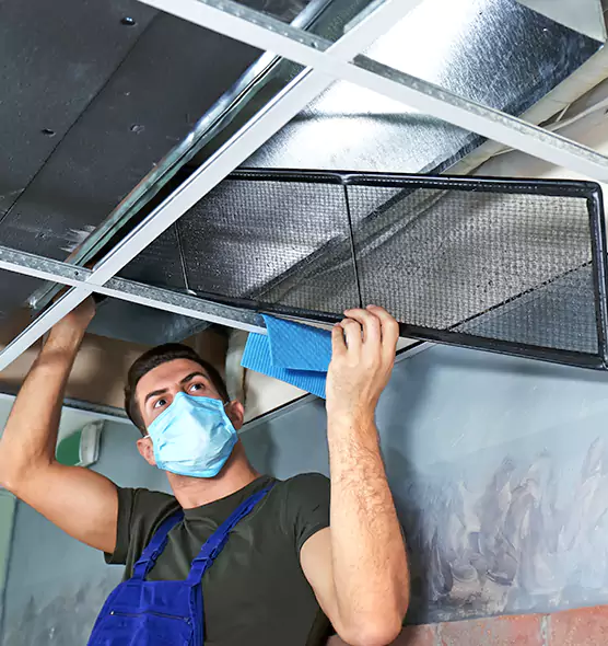 Professional Air Duct Pollen Cleaning in Greenwood, SC