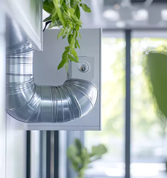 Professional Eco-Safe Dryer Vent Cleaning in Greenwood, SC