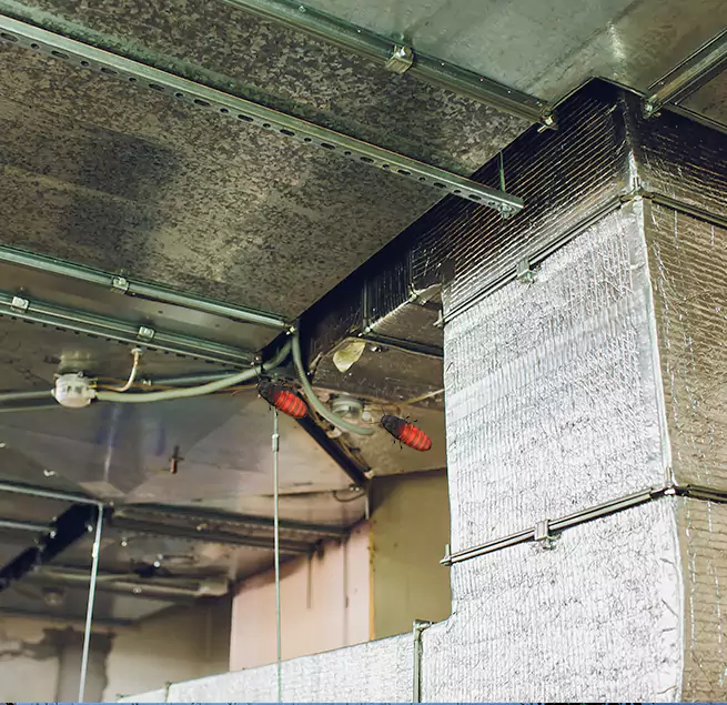 Why Homeowners & Businesses Trust Us in Greenwood, SC?