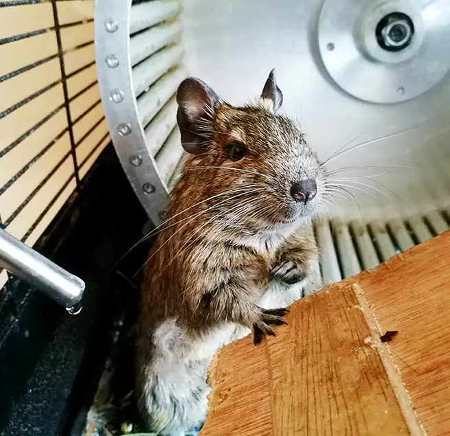 Why Homeowners & Businesses Trust Us Greenwood, SC?