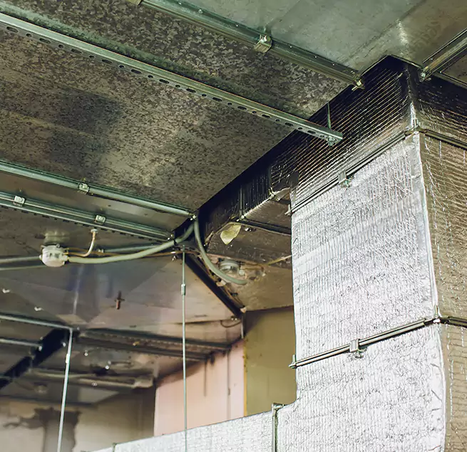 Why Homeowners & Businesses Trust Us in Greenwood, SC?